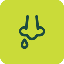 Ícone